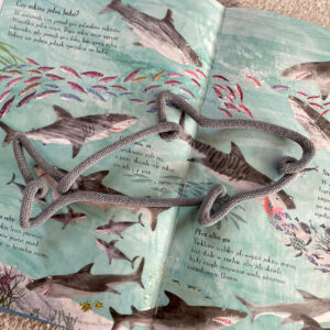 Dekoracja ze sznurka w kształcie rekina leży na otwartej dziecięcej książce na stronach przedstawiających rekiny.