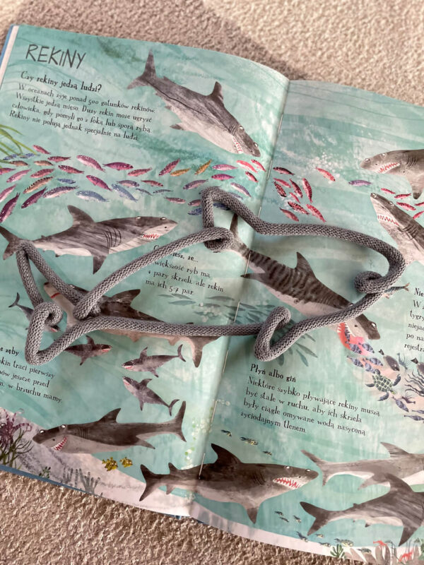 Dekoracja ze sznurka w kształcie rekina leży na otwartej dziecięcej książce na stronach przedstawiających rekiny.